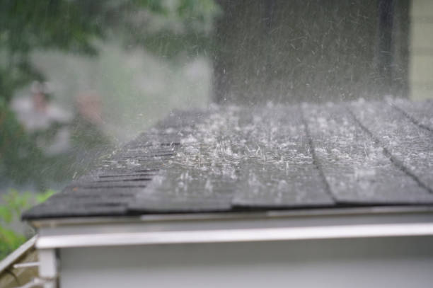 Best Green or Eco-Friendly Roofing Solutions  in Longview, TX